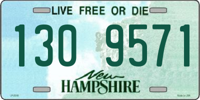 NH license plate 1309571