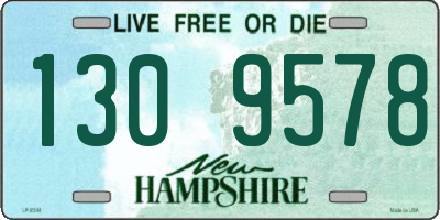 NH license plate 1309578