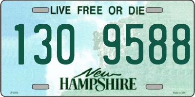 NH license plate 1309588