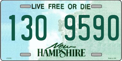 NH license plate 1309590