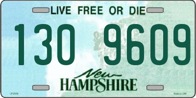 NH license plate 1309609