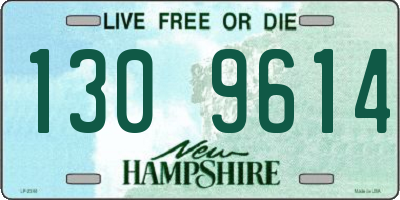 NH license plate 1309614