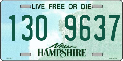 NH license plate 1309637