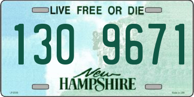 NH license plate 1309671