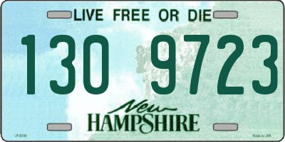 NH license plate 1309723