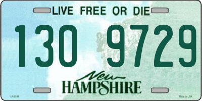 NH license plate 1309729