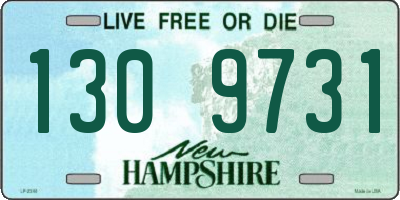 NH license plate 1309731