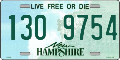 NH license plate 1309754