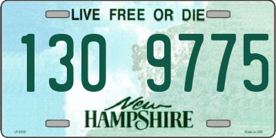 NH license plate 1309775