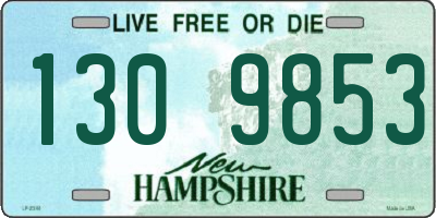 NH license plate 1309853