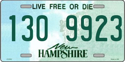 NH license plate 1309923