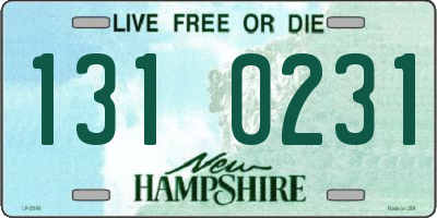 NH license plate 1310231
