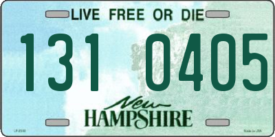 NH license plate 1310405