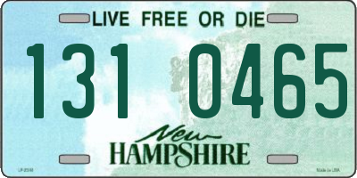 NH license plate 1310465