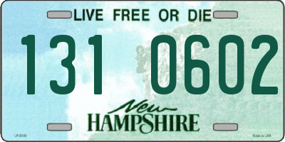 NH license plate 1310602