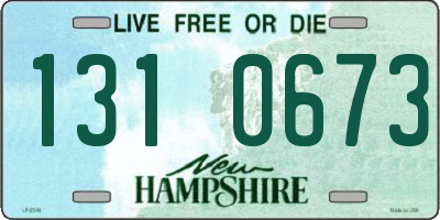 NH license plate 1310673