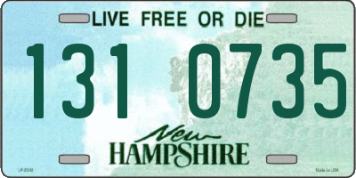 NH license plate 1310735