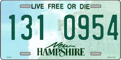 NH license plate 1310954