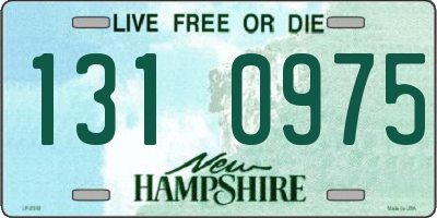 NH license plate 1310975