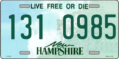 NH license plate 1310985