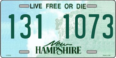 NH license plate 1311073