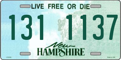 NH license plate 1311137