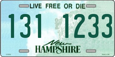 NH license plate 1311233