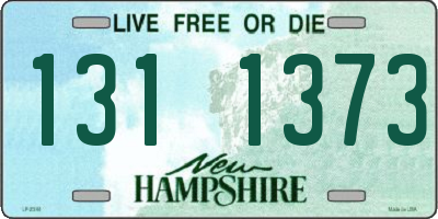 NH license plate 1311373