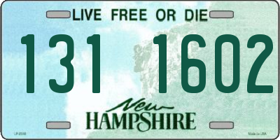 NH license plate 1311602