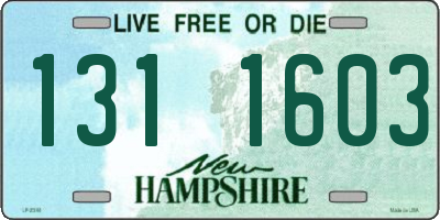 NH license plate 1311603