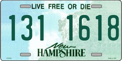 NH license plate 1311618