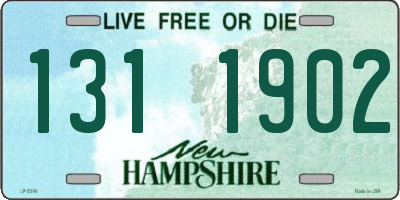 NH license plate 1311902