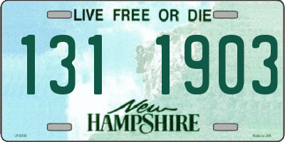 NH license plate 1311903