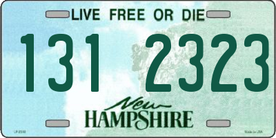 NH license plate 1312323