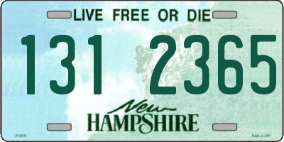 NH license plate 1312365