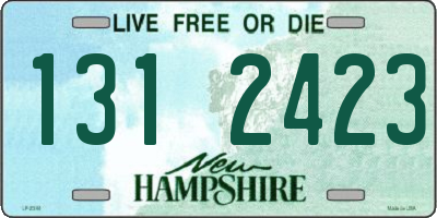 NH license plate 1312423