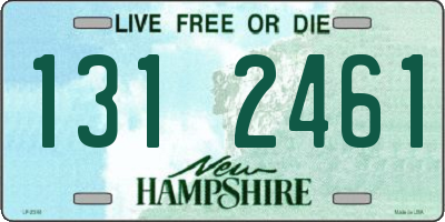 NH license plate 1312461
