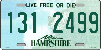 NH license plate 1312499
