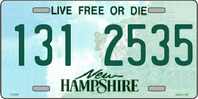 NH license plate 1312535