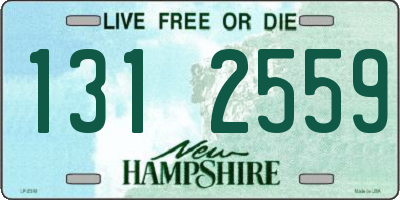 NH license plate 1312559
