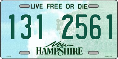 NH license plate 1312561
