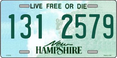 NH license plate 1312579