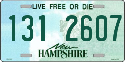 NH license plate 1312607