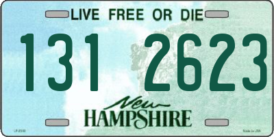 NH license plate 1312623