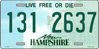 NH license plate 1312637
