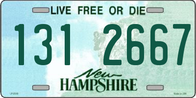 NH license plate 1312667