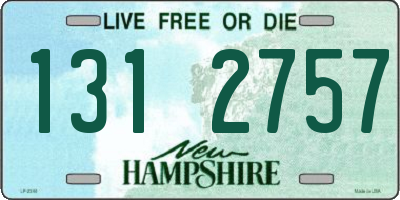 NH license plate 1312757