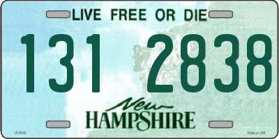 NH license plate 1312838