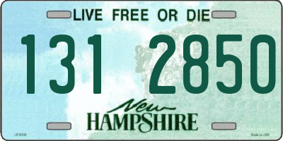 NH license plate 1312850
