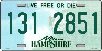 NH license plate 1312851